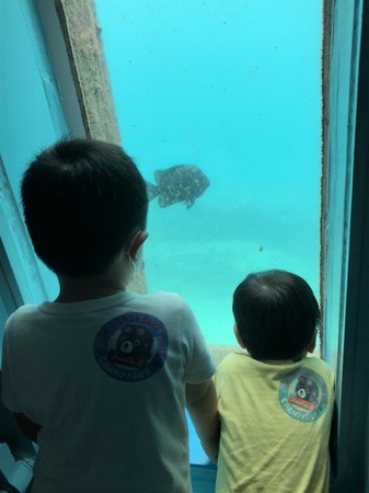 宮古島海中公園で魚を見る子どもたち